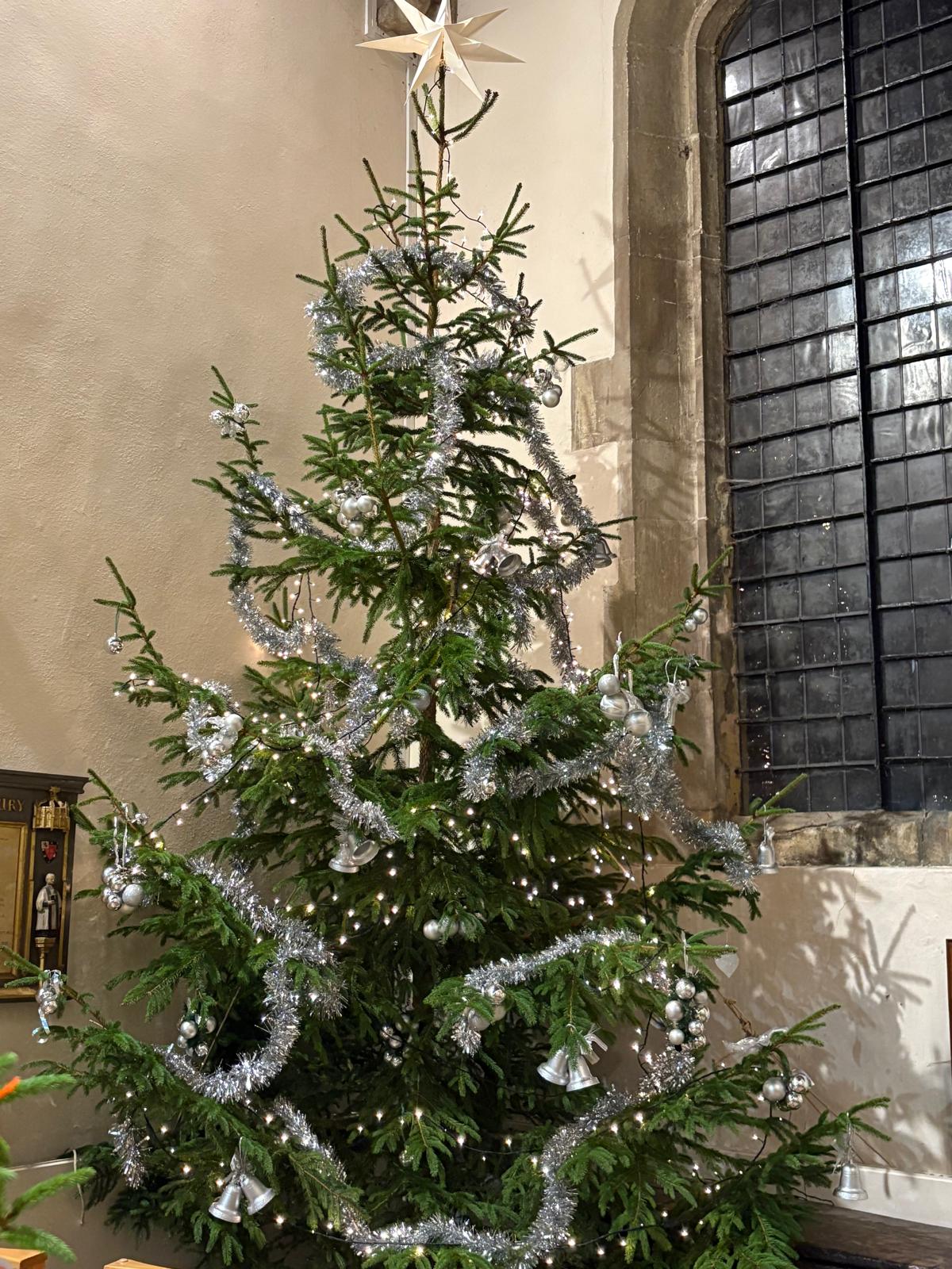 Bellringers raise the Christmas Tree!